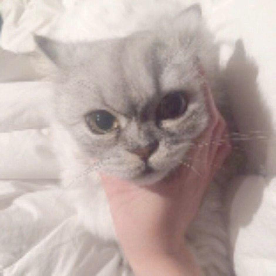 邹秀璐