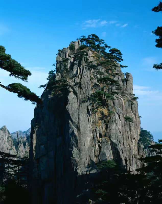 萌草莓